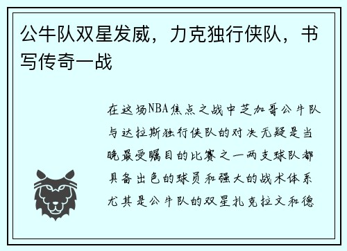 公牛队双星发威，力克独行侠队，书写传奇一战
